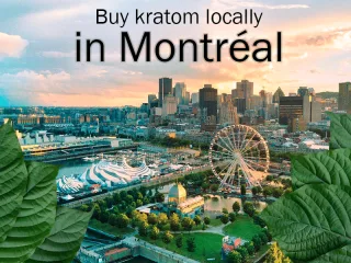 Where to buy kratom locally in Montreal