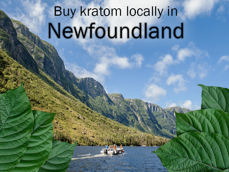 Buy Kratom Locally in Newfoundland