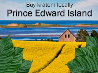 Buy kratom locally in Prince Edward Island