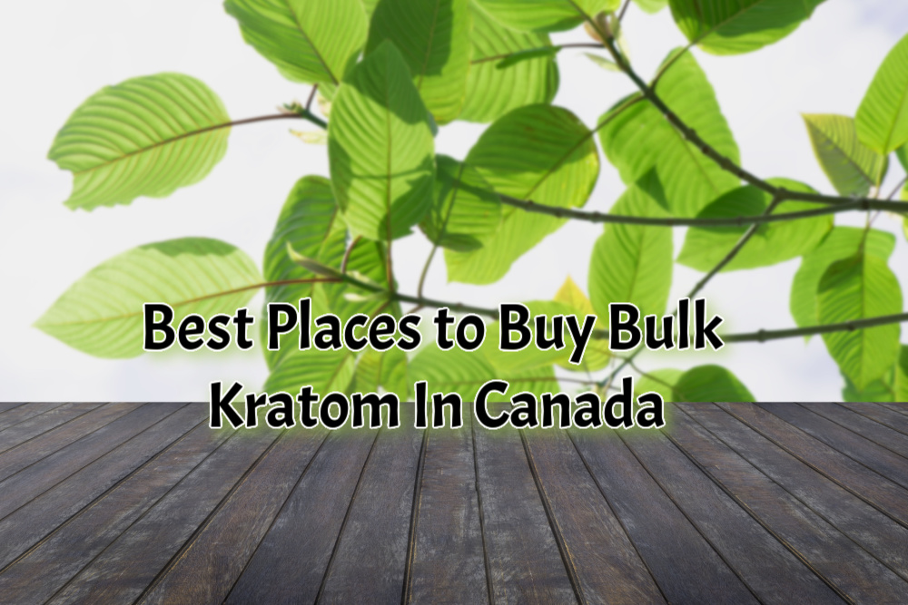 banner of best places to buy bulk kratom in canada