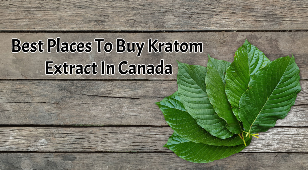 banner of best places to buy kratom extract in canada