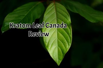 banner of kratom leaf canada review