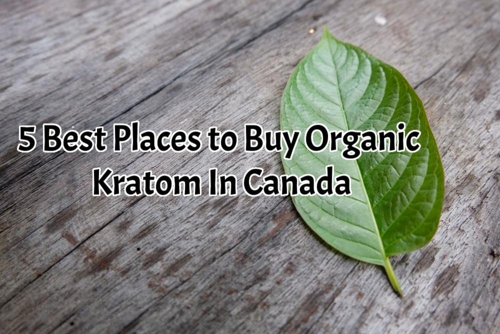 banner of 5 best places to buy organic kratom in canada