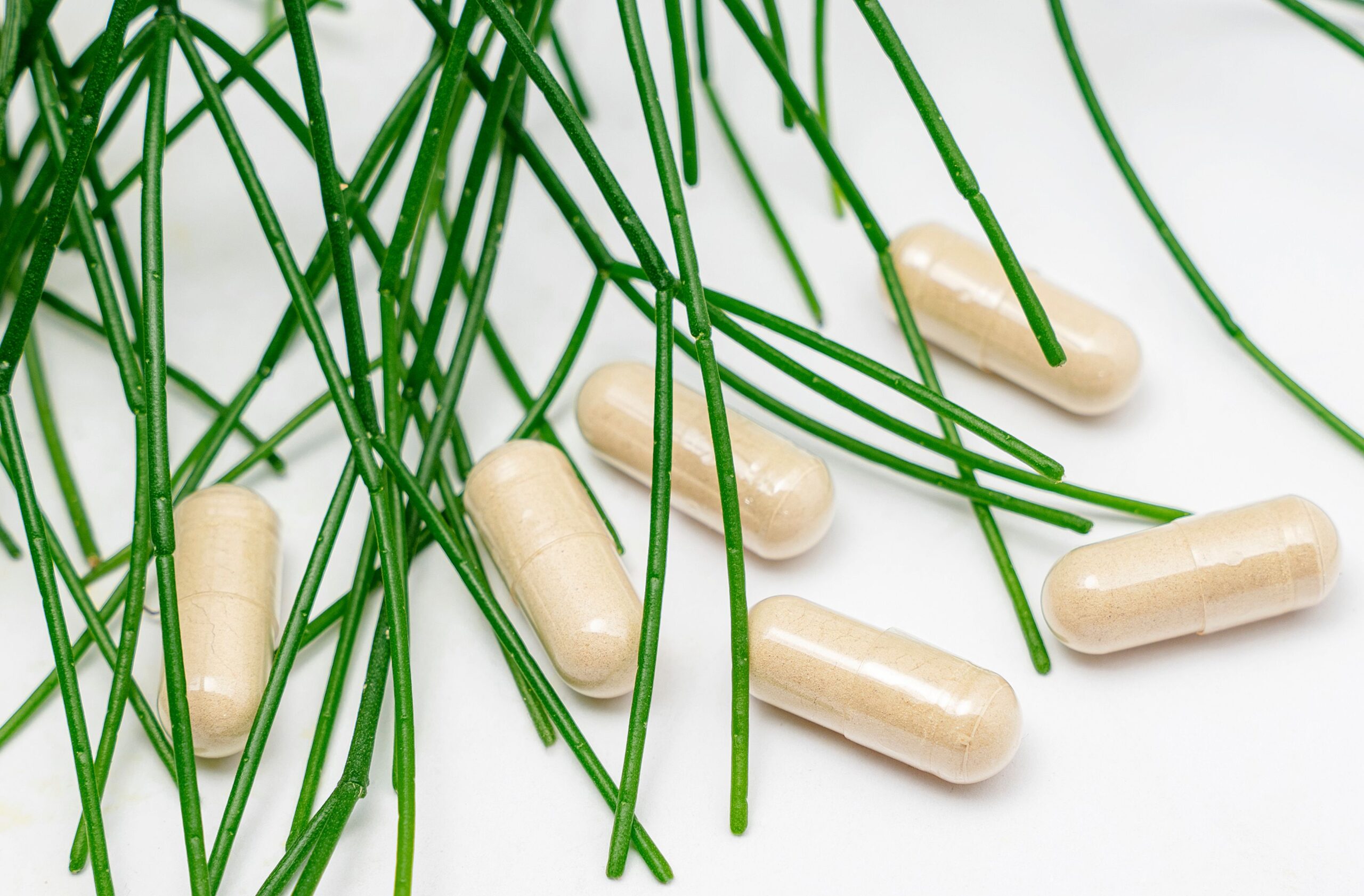 Best kratom capsules explained 