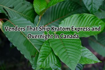 banner of vendors that ship kratom express and overnight in canada