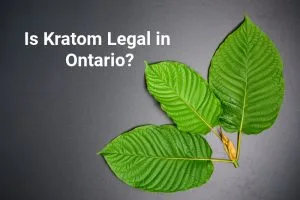 Is kratom legal in Ontario Canada - legality guide