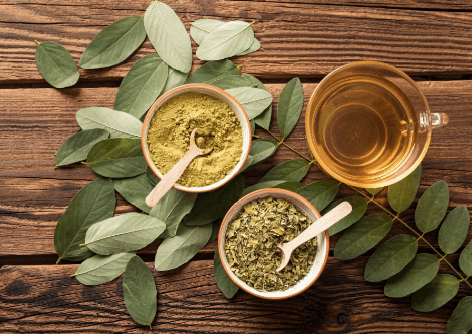 Kratom Extracts Canada 2026: What They Are, How They Differ From Powder & What Buyers Check